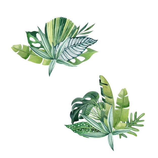 Deux compositions aquarelles avec des feuilles tropicales isolées sur fond blanc