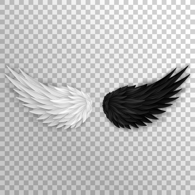 Vecteur deux demi-ailes réalistes isolées sur fond transparent ailes d'ange blanches et ailes de diable sombres