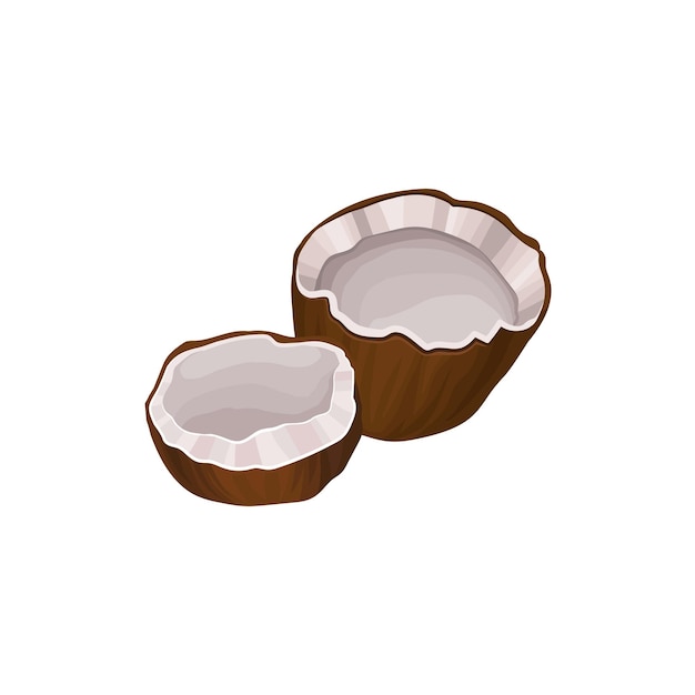 Deux moitiés de noix de coco Nourriture tropicale Produit naturel Élément de conception graphique pour emblème écocosmétique ou étiquette de shampooing Icône vectorielle plate détaillée