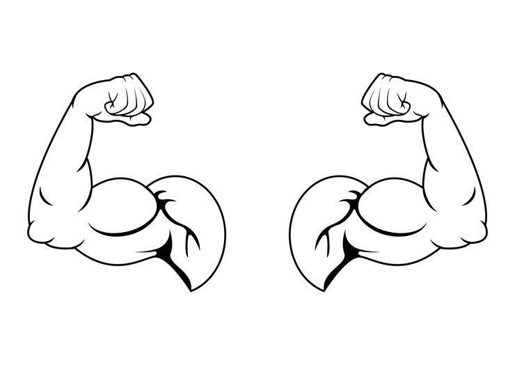 Vecteur deux muscles biceps en noir et blanc flexant le vecteur de conception plate isolé sur fond blanc deux bras musculaires