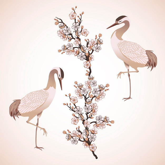Vecteur deux oiseaux de hérons et illustration vectorielle de cerise japonaise,