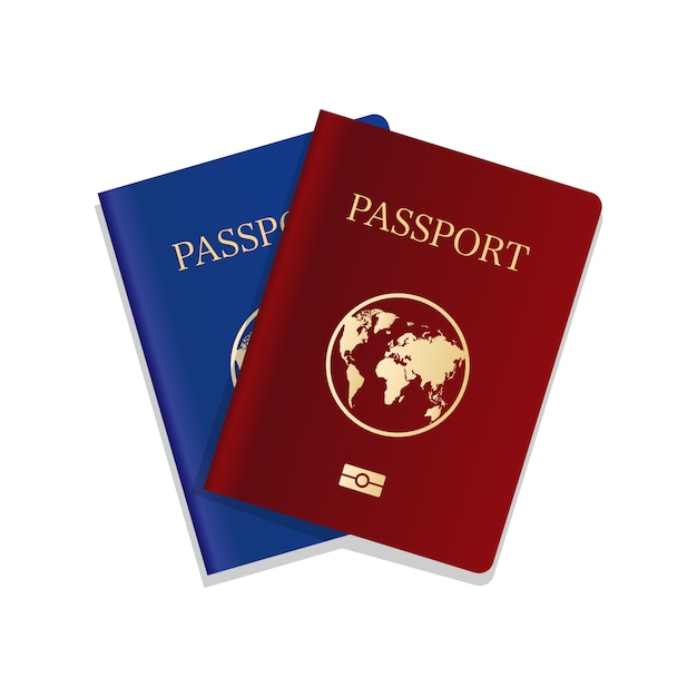 Vecteur deux passeports internationaux réalistes