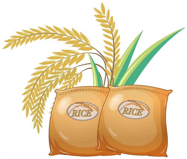Deux sacs de riz