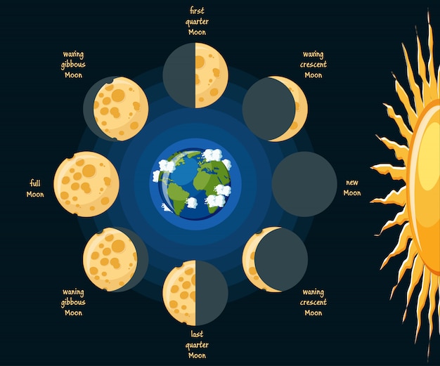 Vecteur diagramme de base des phases de la lune