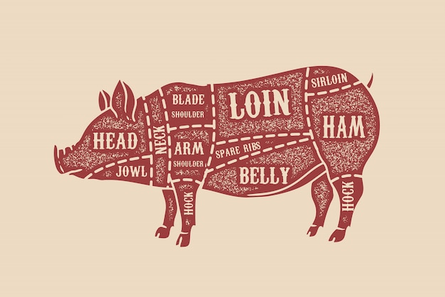 Vecteur diagramme de boucher de porc. coupes de porc. élément pour affiche, carte, emblème, insigne. image