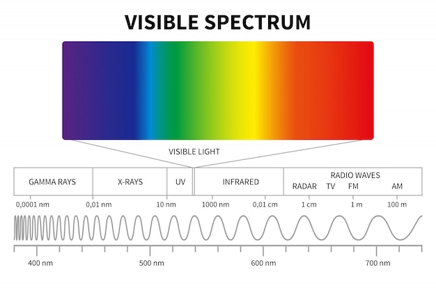 Diagramme De Lumière Visible. Spectre électromagnétique Couleur, Fréquence Des Ondes Lumineuses.