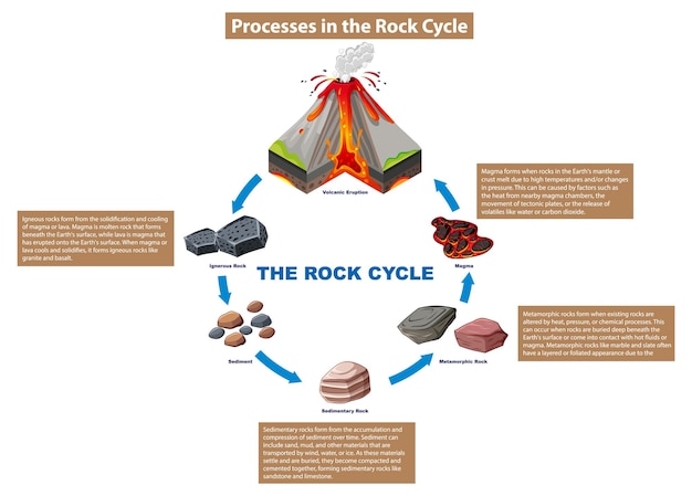 Diagramme Des Processus Du Cycle De La Roche