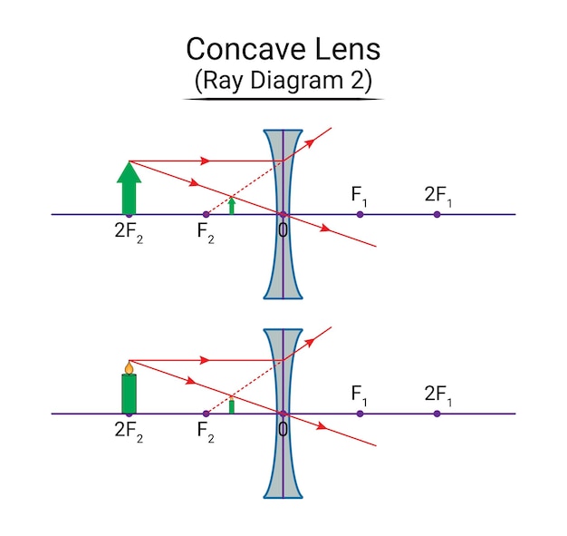 Vecteur diagramme de rayon de lentille concave 2