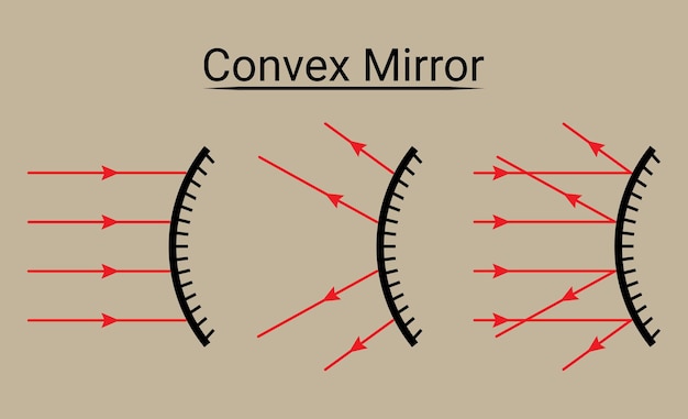 Vecteur diagramme de rayons miroir convexe