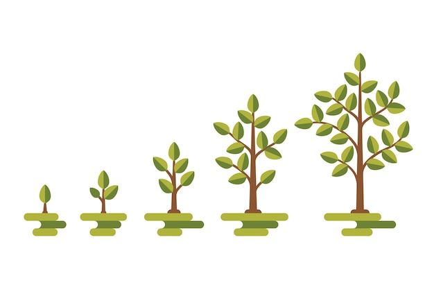 Diagramme De Vecteur De Croissance Des Arbres Verts