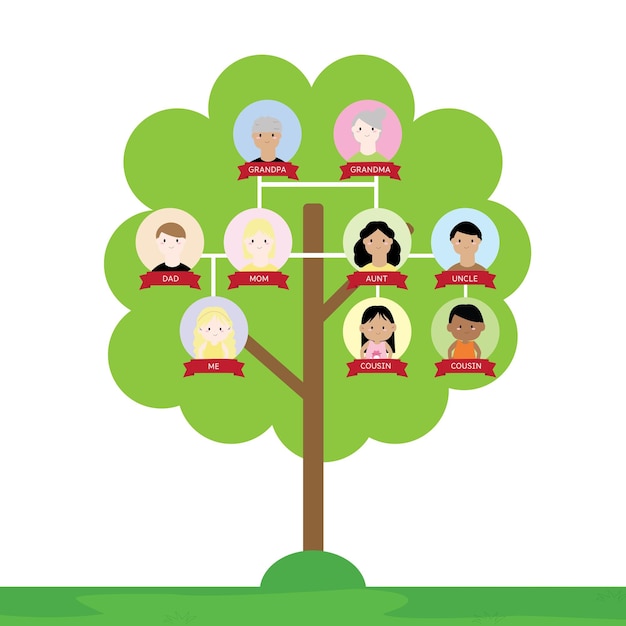 diagramme vectoriel montrant un arbre généalogique de trois générations