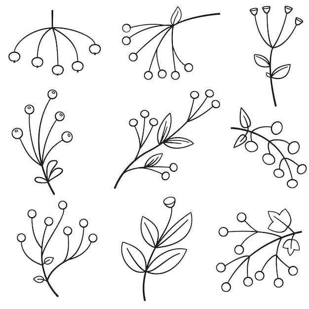 Différentes Baies Ou Fleur Ligne Botanique Icon Set Vector