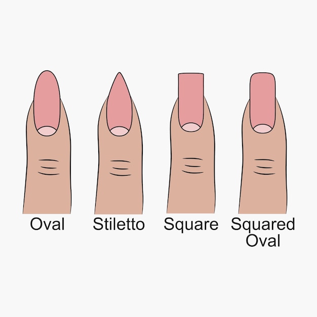 Différentes formes d'ongles. Formes d'ongles pour la manucure. Illustration vectorielle.