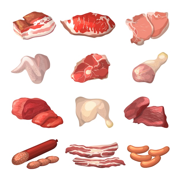 Vecteur différentes illustrations de viande.