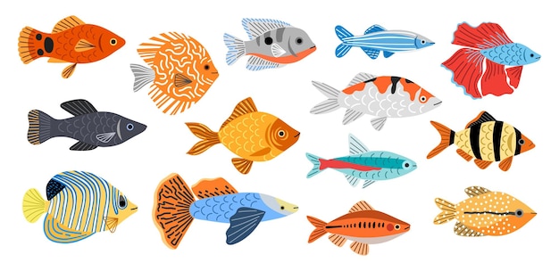 Vecteur différentes races de poissons d'aquarium peu de poissons décoratifs barbus espadon néon coquelet habitants sous-marins vecteur setjpg