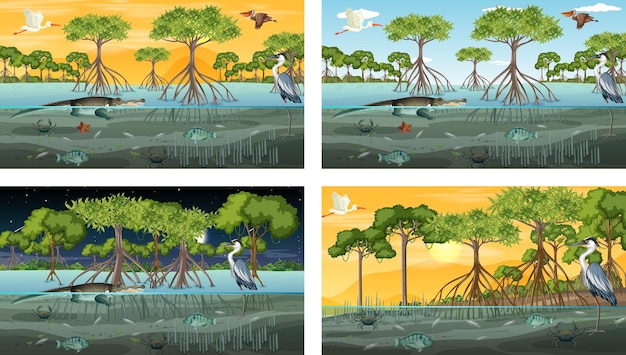 Différentes Scènes De Paysage De Forêt De Mangrove Avec Des Animaux Et Des Plantes