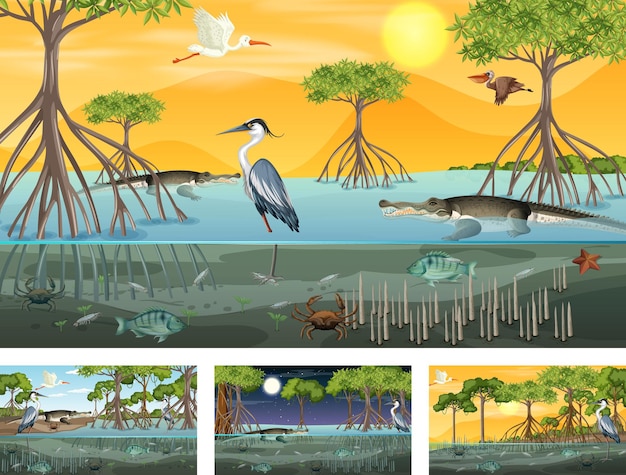 Différentes Scènes Avec Paysage De Forêt De Mangrove Avec Animaux Et Plantes