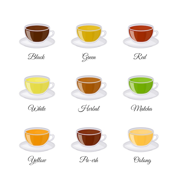 Vecteur différentes sortes de thé dont noir vert blanc matcha puerh jaune rouge aux herbes oolong
