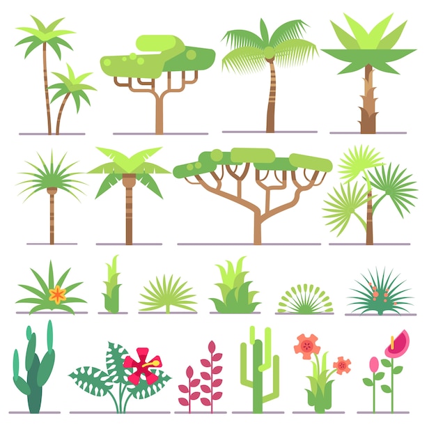 Vecteur différents types de plantes tropicales, arbres, collection de vector plate fleurs. fleur et palmier exotique