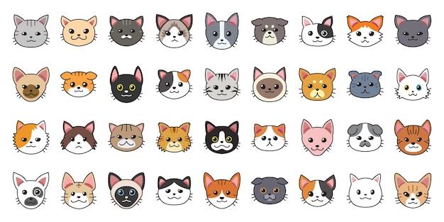 Différents types de visages de chat de dessin animé de vecteur