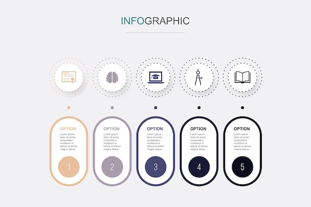 Vecteur diplôme cerveau éducation en ligne boussoles icônes de livre modèle de conception de mise en page de conception infographique concept de présentation créative avec 5 étapes