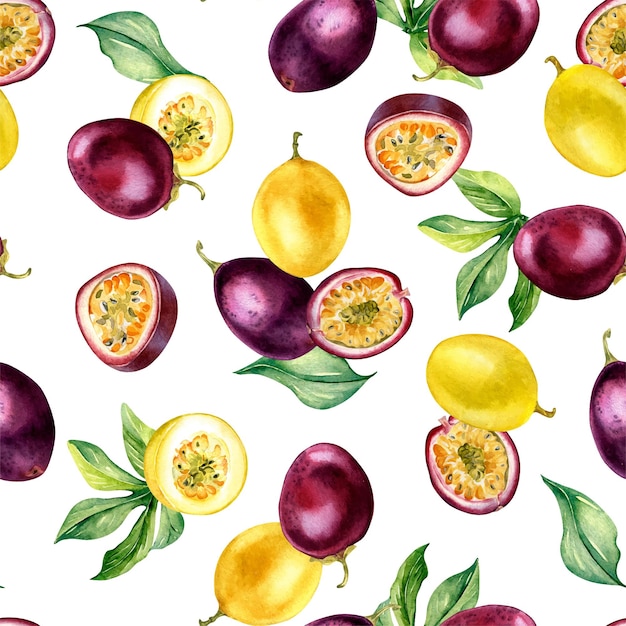 Divers fruits de la passion sur le modèle sans couture d'aquarelle de feuille isolé sur l'ensemble tropical violet blanc