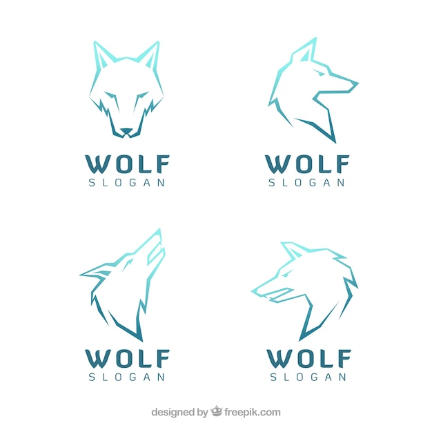 Divers Logos Modernes De Loups