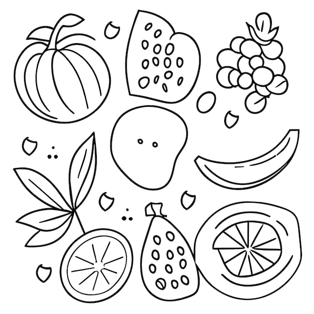 Vecteur diverses collections de fruits pour l'été et page de livre de coloriage pour kdp