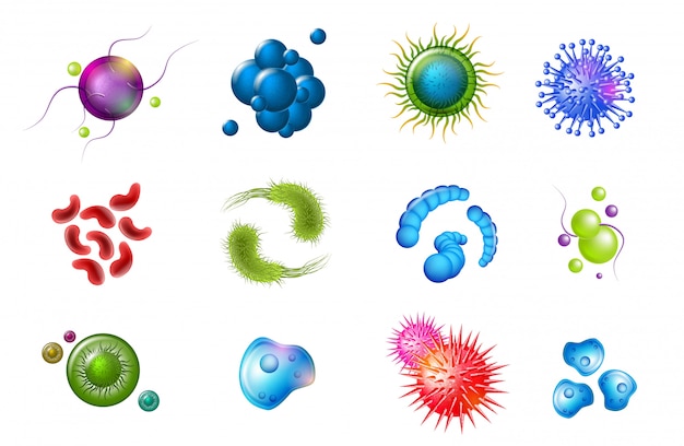 Vecteur diverses espèces de virus isolé set vector