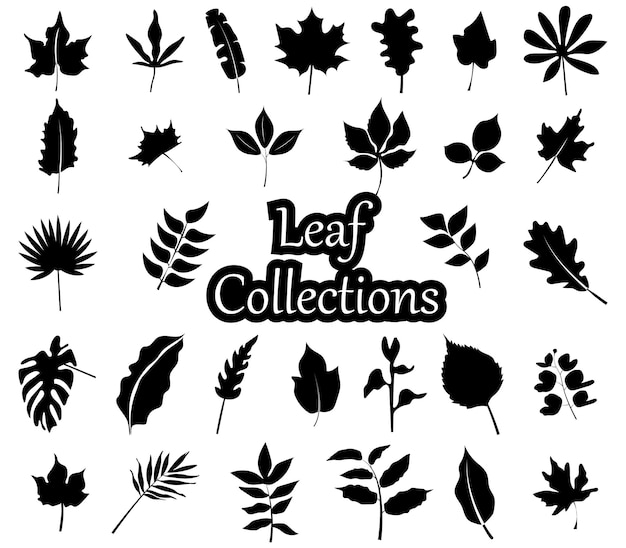 Diverses Feuilles Tropicales Printemps Feuilles Florales Doodle Collection Set Vector Design