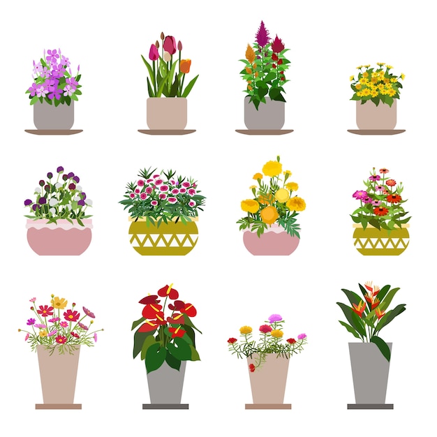 Diverses Fleurs En Pots, Isolés Sur Fond Blanc