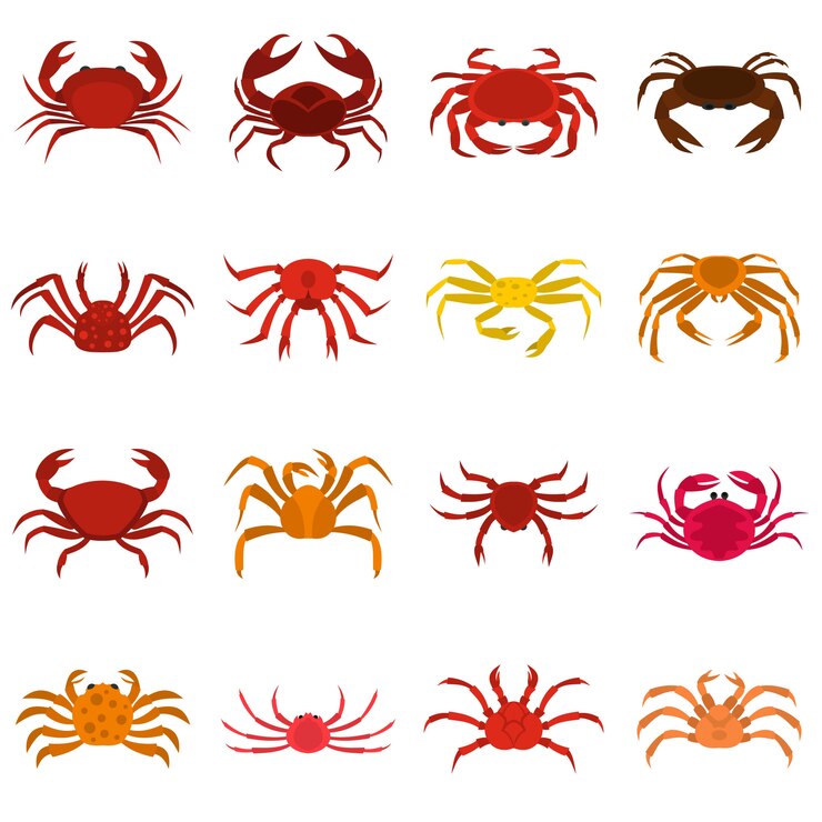 Vecteur diverses icônes de crabe définies dans un style plat