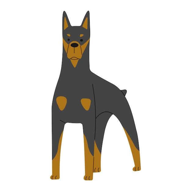 Vecteur le doberman 1