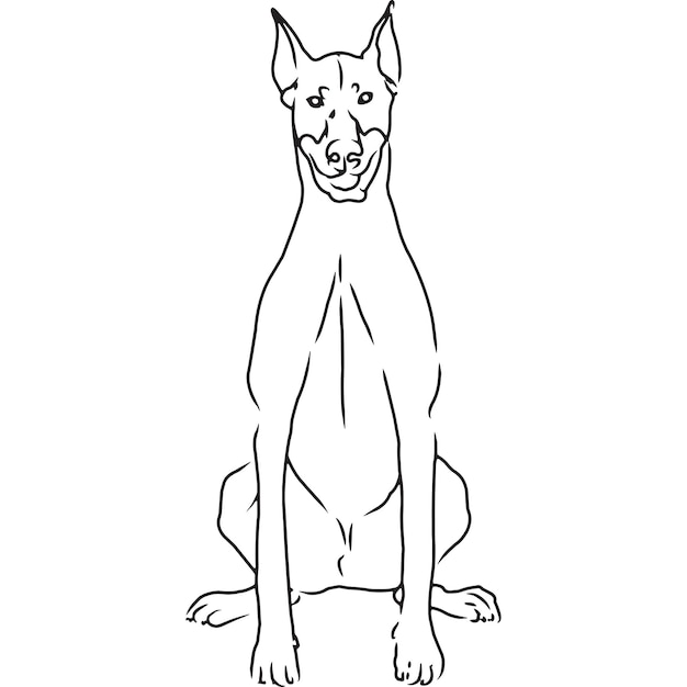 Doberman Pinscher Dog main esquissée dessin vectoriel