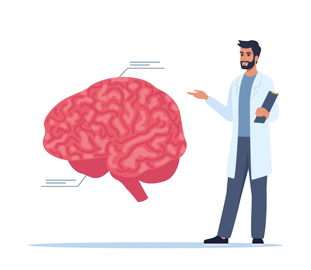 Le docteur donne une conférence de formation sur l'anatomie Le docteur présente des infographies sur le cerveau humain