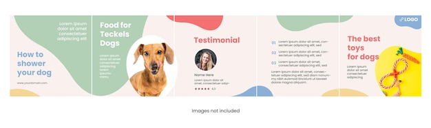 Dog And Pet Shop Vet Color Instagram Carousel Feed Posts Template