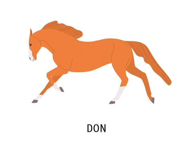 Don Illustration Plate De Cheval. Beau Pedigree équidé, Hoss De Race Russe