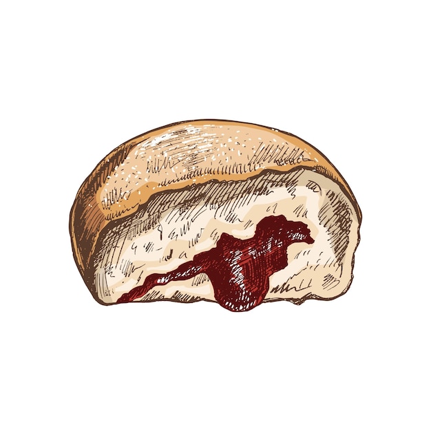 Vecteur donut polonais allemand traditionnel avec de la confiture poussiéreuse illustration colorée vintage dessert de pâtisserie.