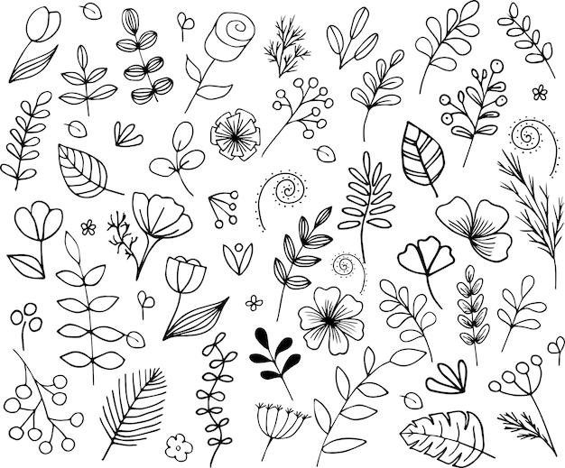 Doodle à Base De Plantes Noir Et Blanc