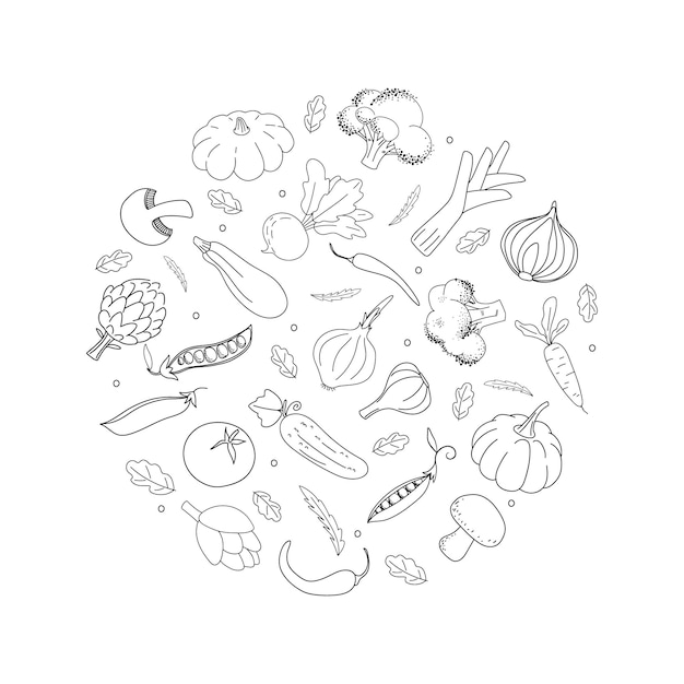 Doodle contour légumes en cercle Légumes dessinés à la main noir sur fond blanc