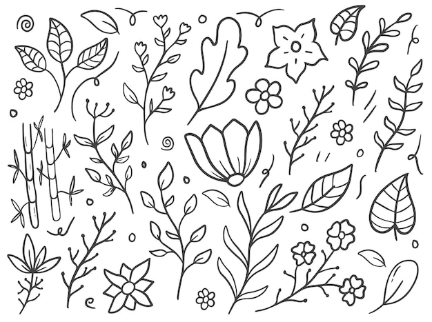 Vecteur doodle dessiné à la main de feuilles et de fleurs