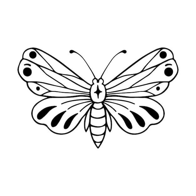 Le Doodle Du Papillon Céleste Illustration Dessinée à La Main Beaux Dessins De Lignes Tatouage De Papillon