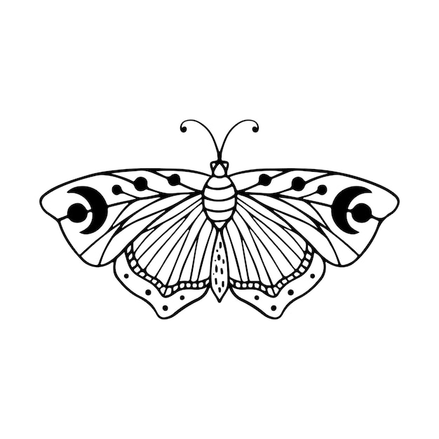 Le Doodle Du Papillon Céleste Illustration Dessinée à La Main Beaux Dessins De Lignes Tatouage De Papillon