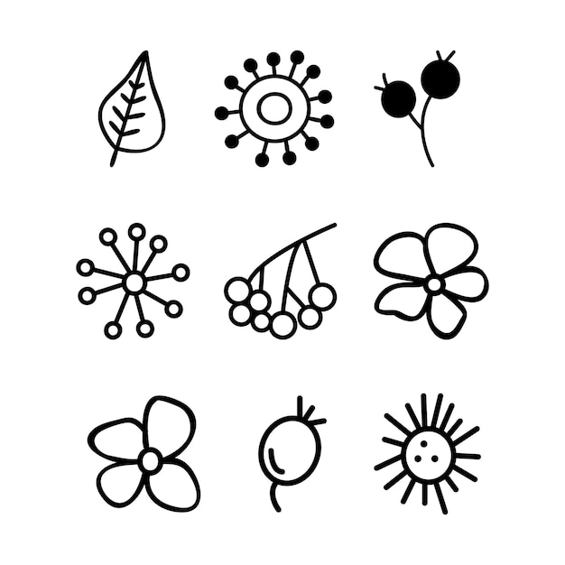 Vecteur doodle éléments graphiques floraux dessinés à la main fleurs botaniques plantes et baies