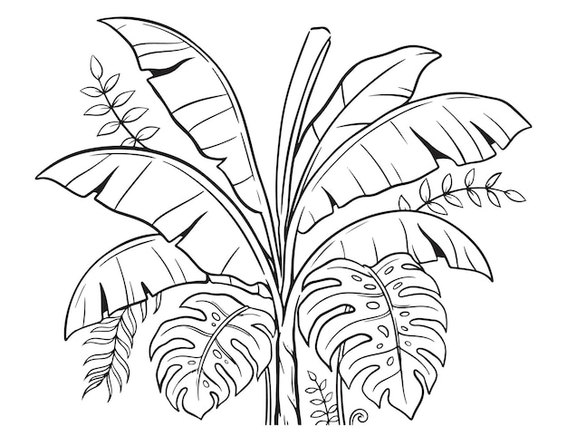 Vecteur doodle de feuilles de banane et de monstera