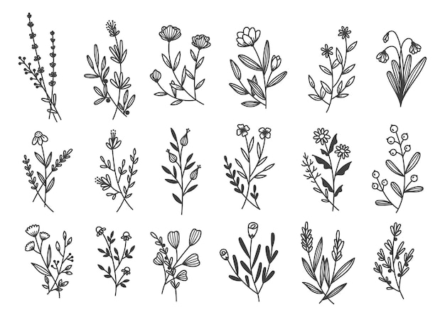Doodle de fleurs et de branches dessinés à la main
