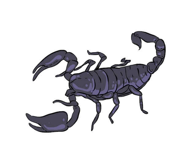 Vecteur doodle scorpion. scorpion