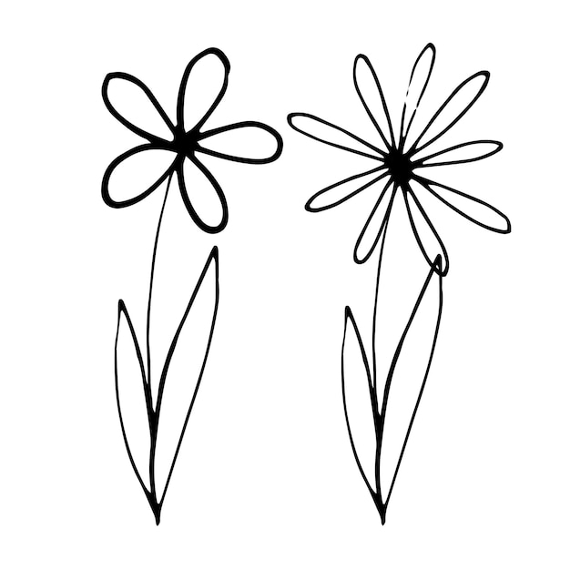 Doodle Serti De Fleurs De Camomille Dans Un Style De Ligne