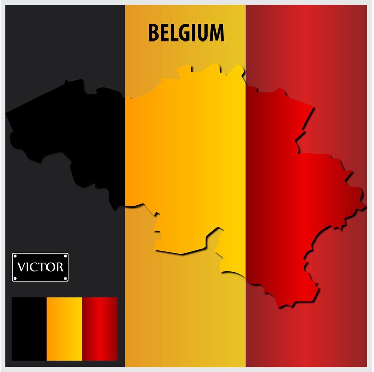 Vecteur drapeau de la belgique avec carte du pays un beau vecteur