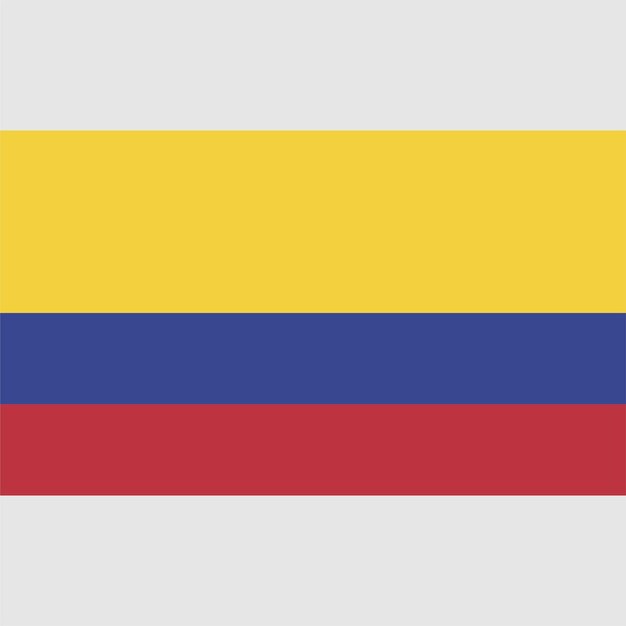 Un drapeau colombien avec le mot colombie dessus